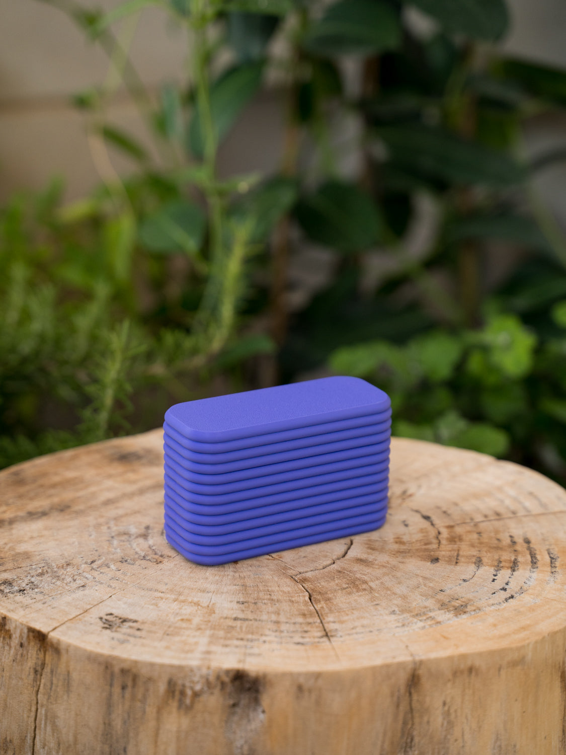 SnapCase Blooby - Modular Film Case